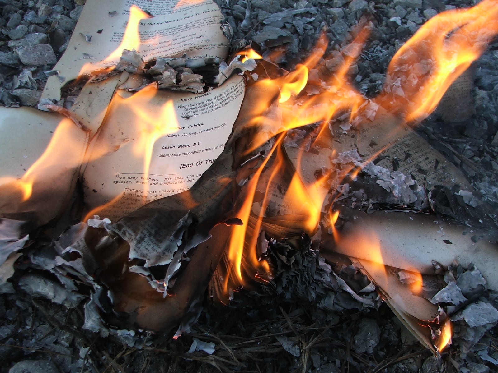 success, personal development, reading