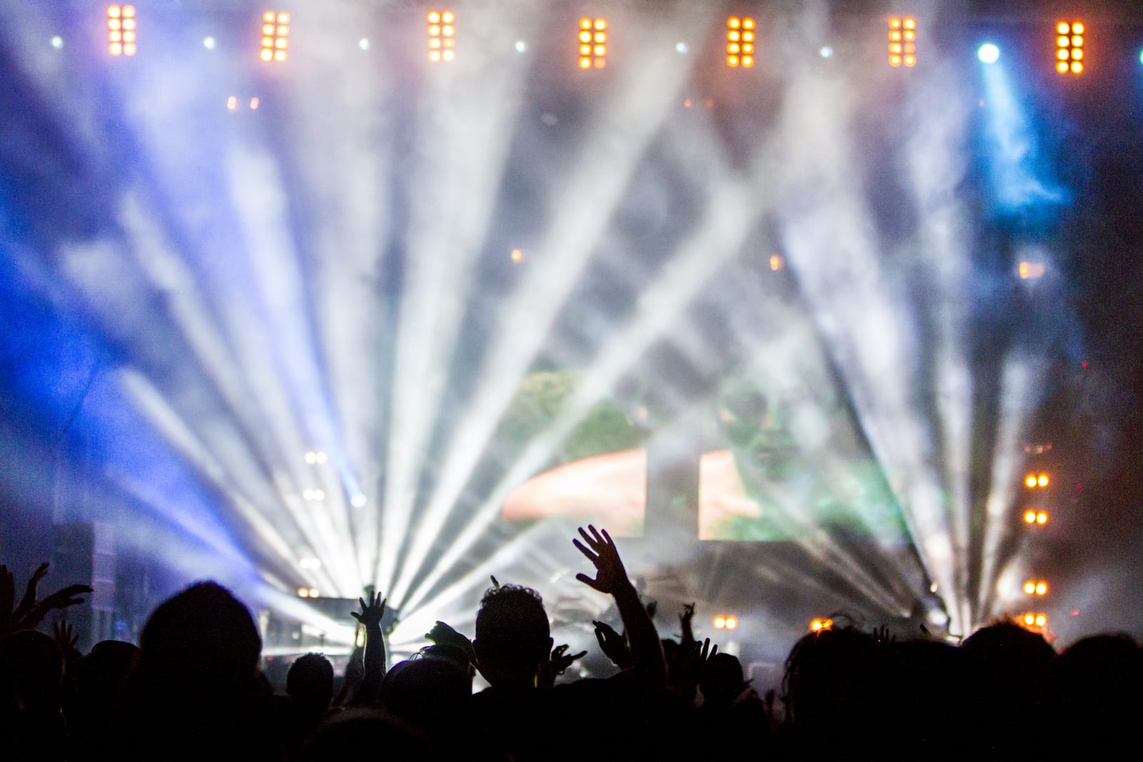 concert, money, passion