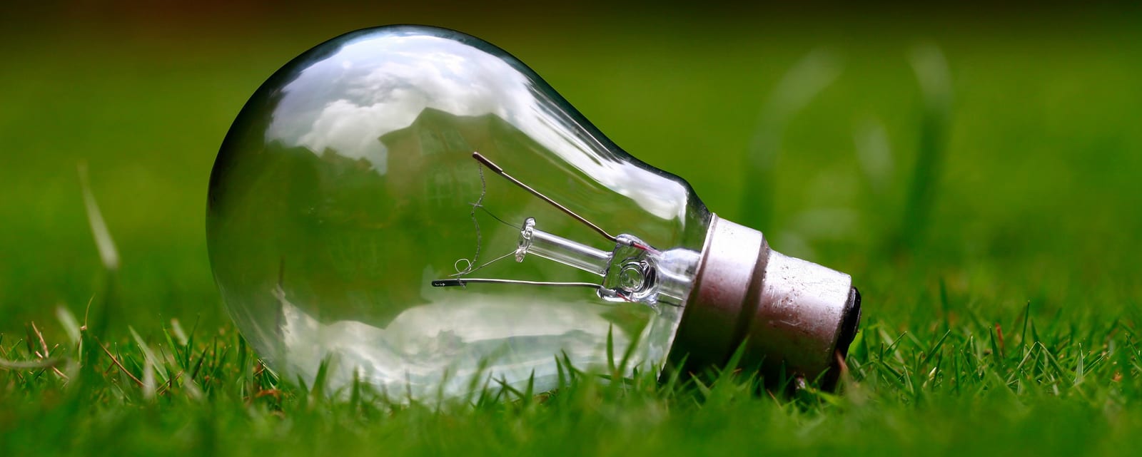 light bulb, decisions, career, success