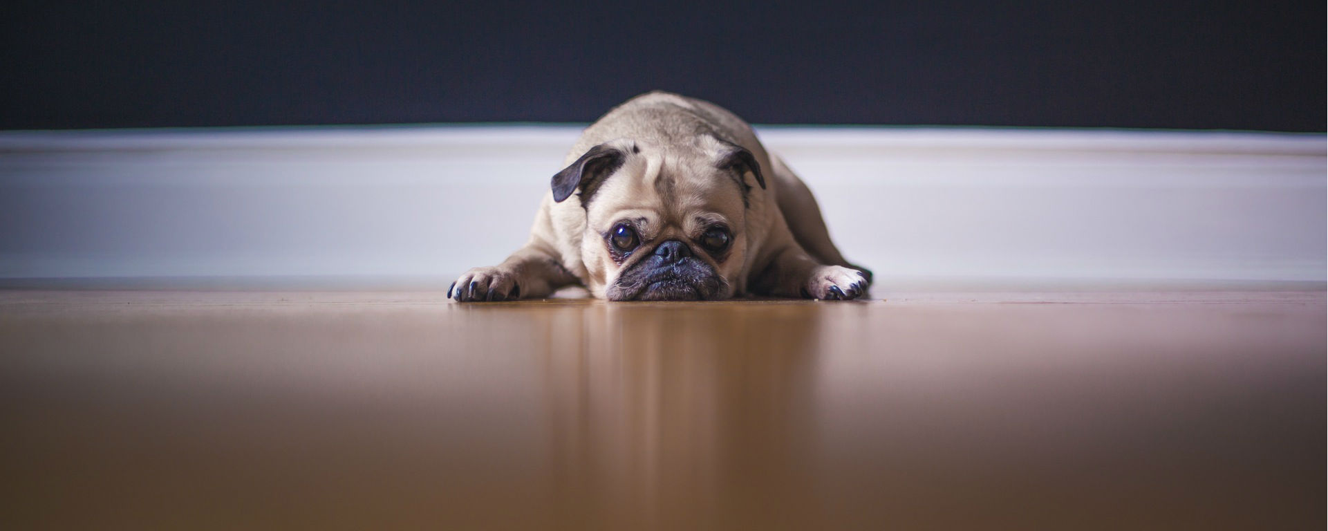 3 reasons your success goals are ruining your life