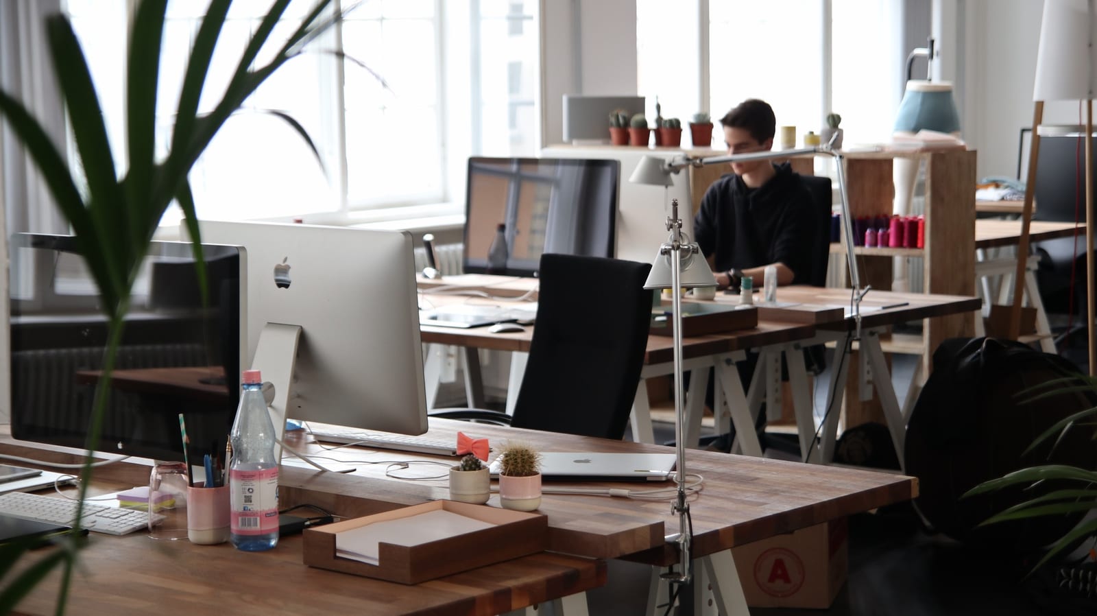 office, business, entrepreneurship,